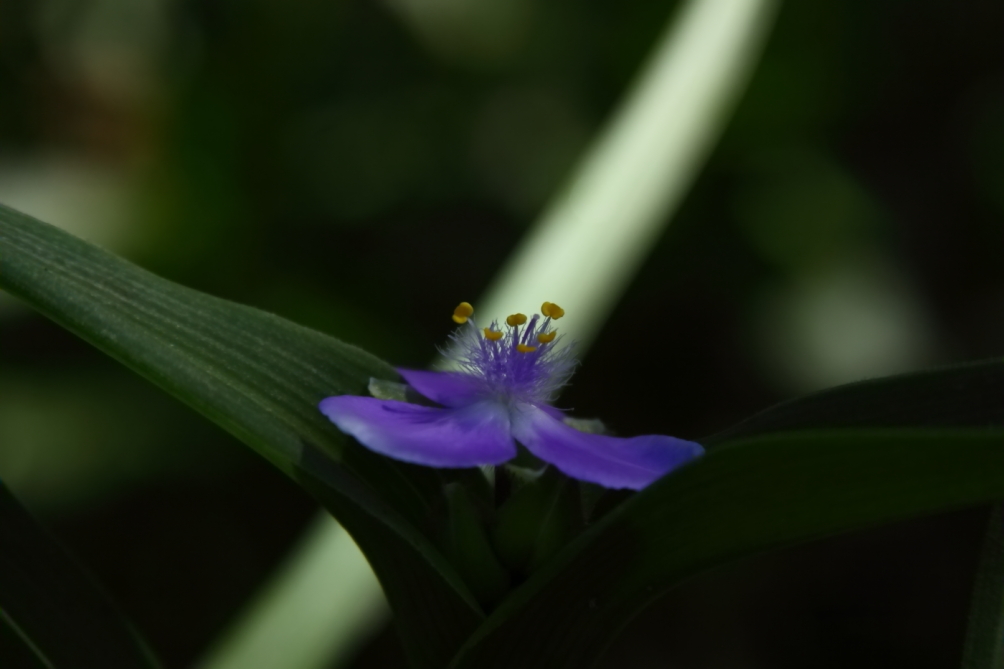 2012 05 20 3591